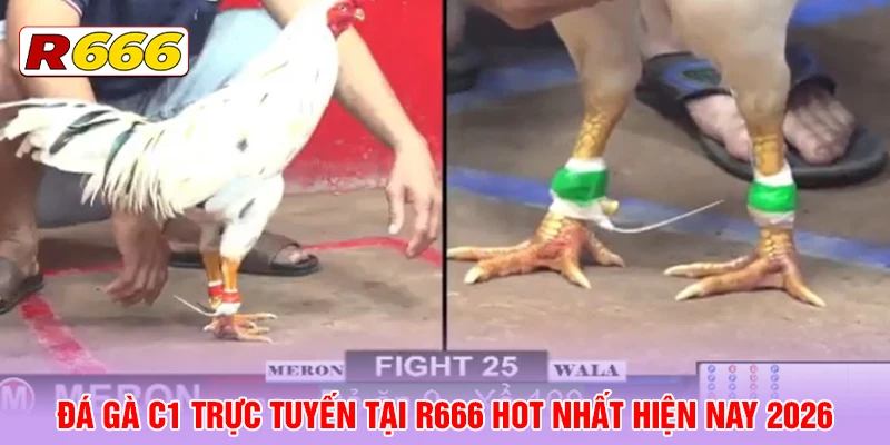 Sơ lược về hack nổ hũ